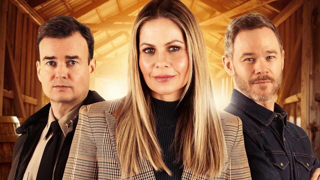 The Ainsley McGregor Mysteries: A Case for the Winemaker 0