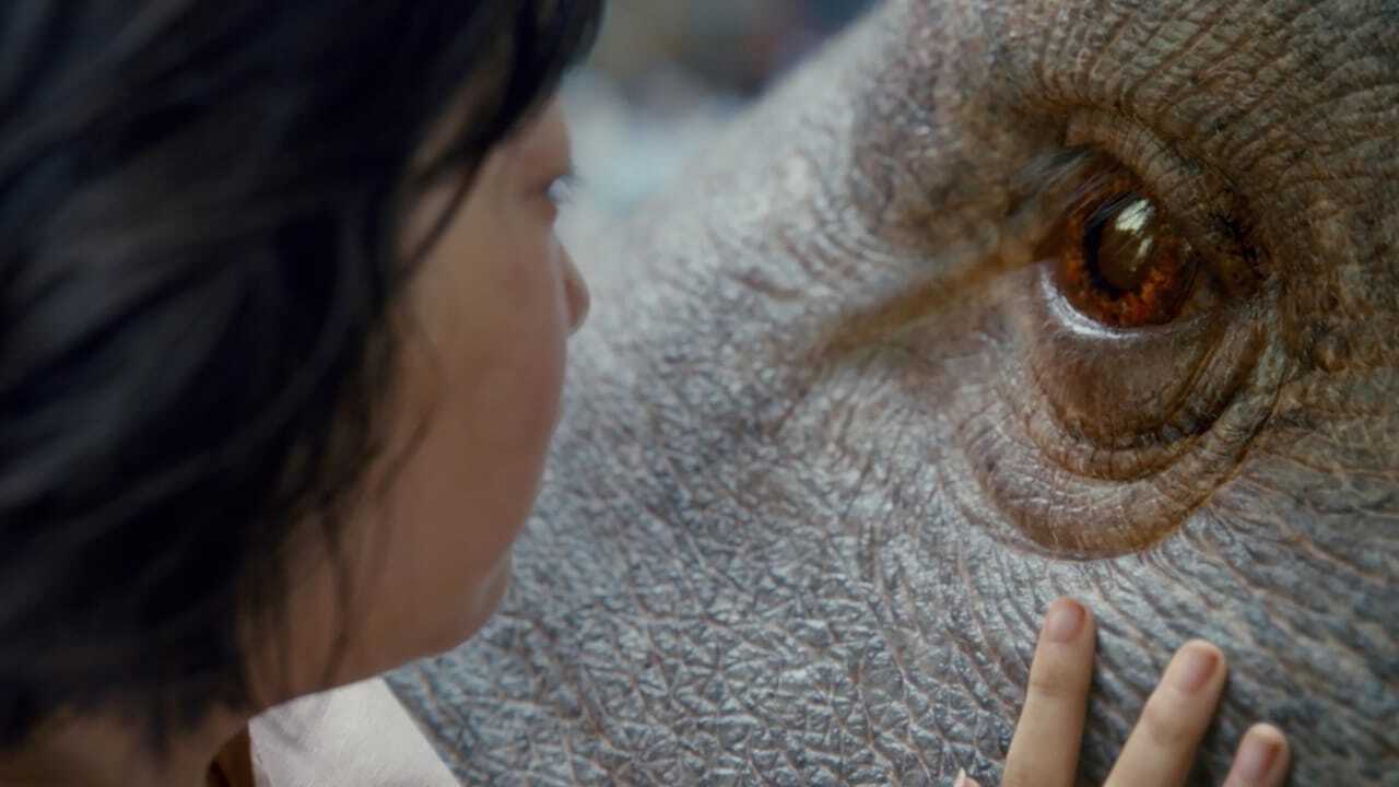 Okja (2017) 0