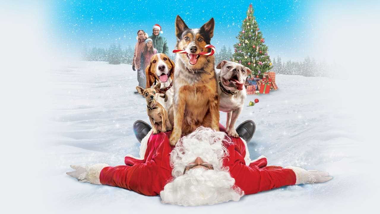 Pups Alone 0