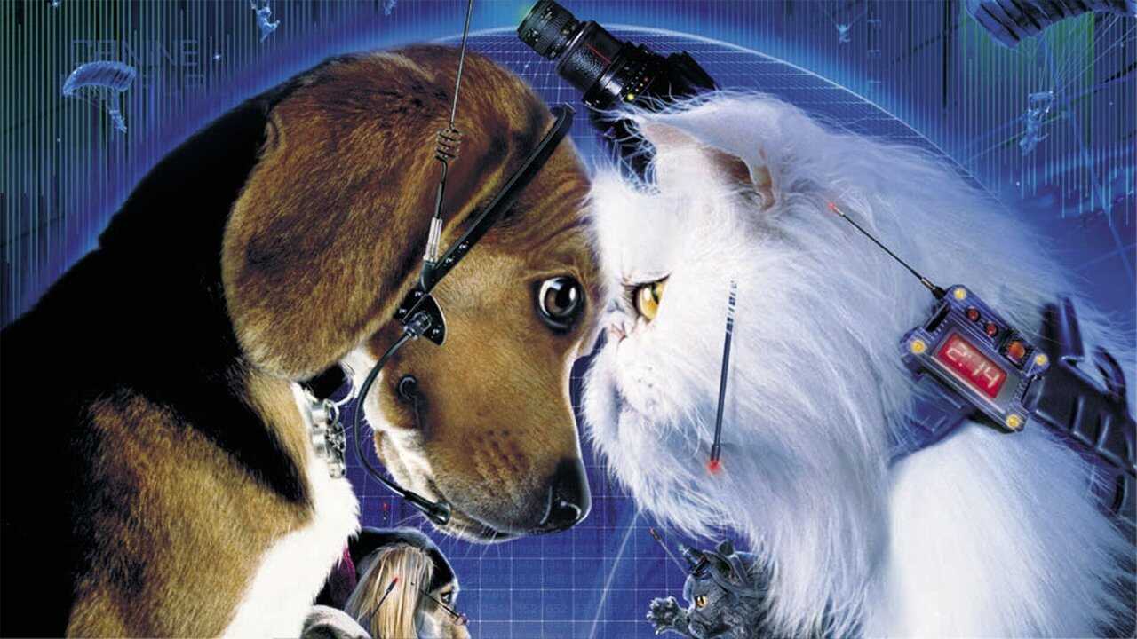 Como perros y gatos (2001) 0