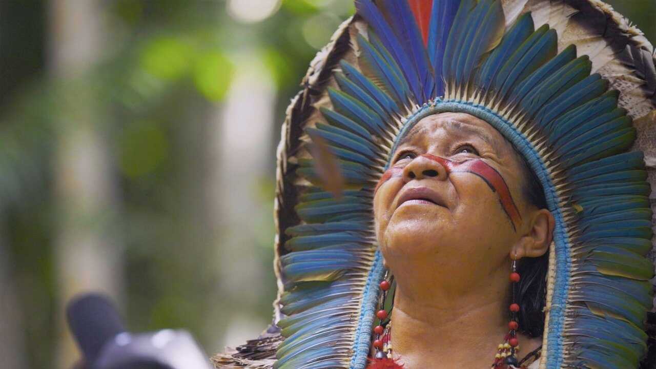 L'Amazonie, merveilleuse apothicaire (2024) 0