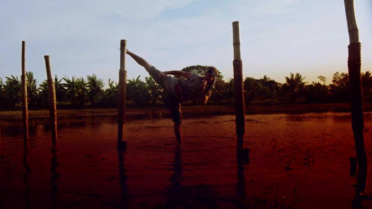 The King of the Kickboxers 0