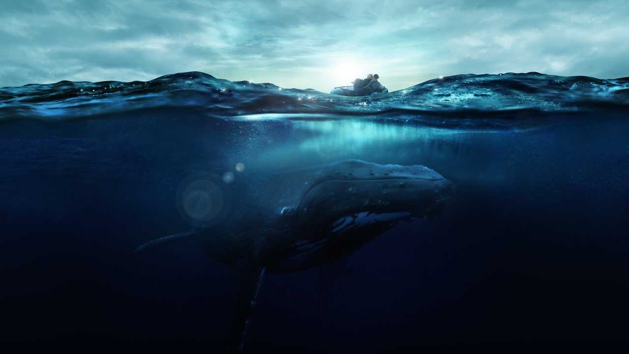 Fathom 0