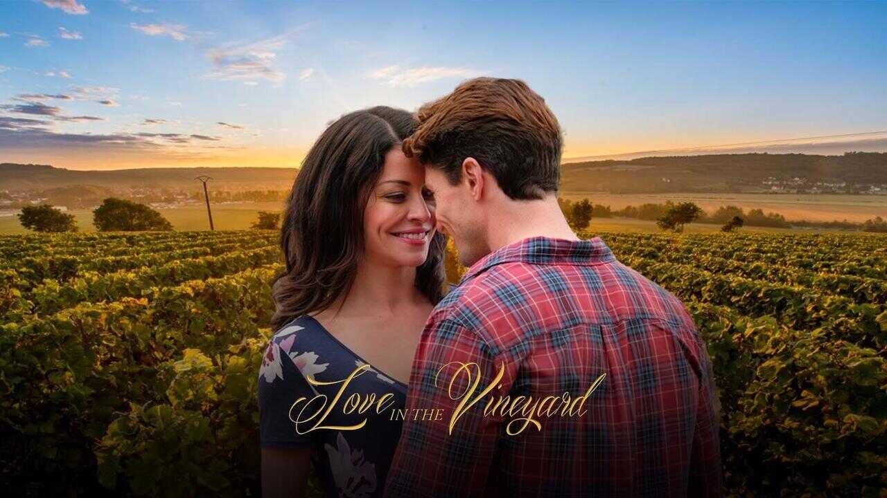Love in the Vineyard 0