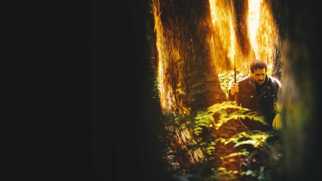 The Cost 0