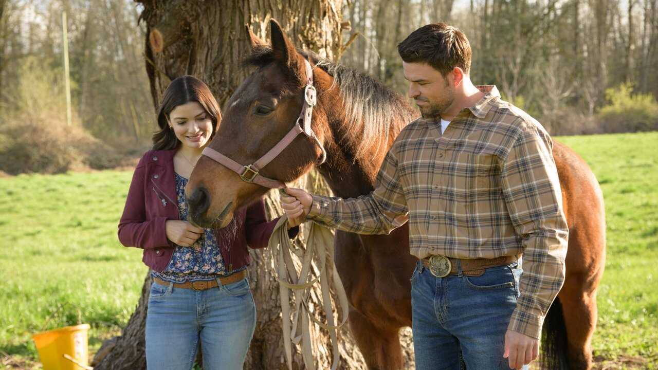 Zagłosuj na miłość (2023) 0