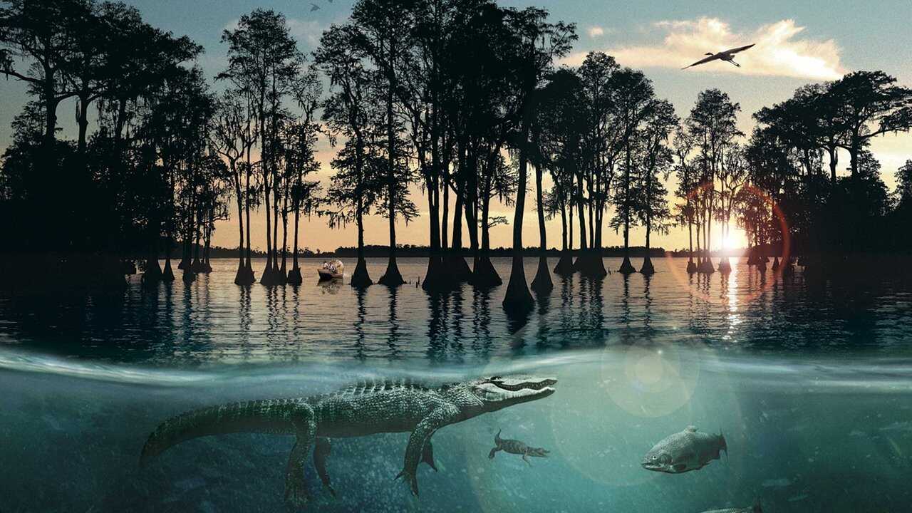 Hurricane on the Bayou 0