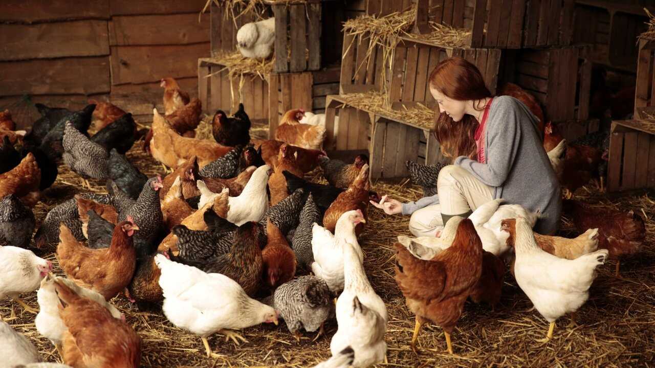 Au fil des saisons (2024) 0