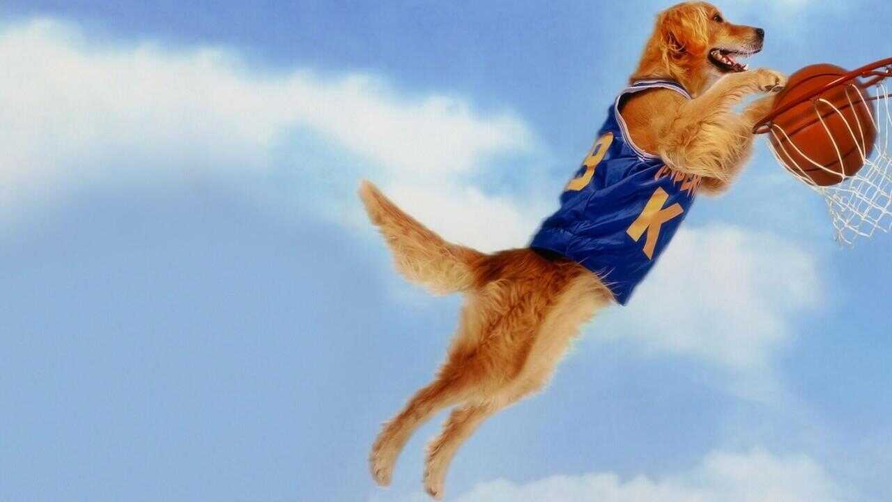 Air Bud (1997) 0