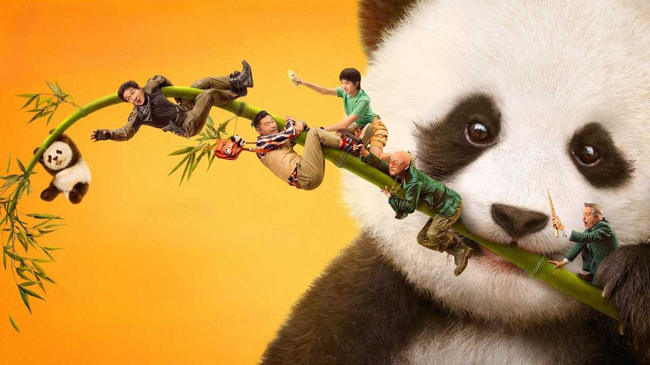 Panda Plan (2024) 0