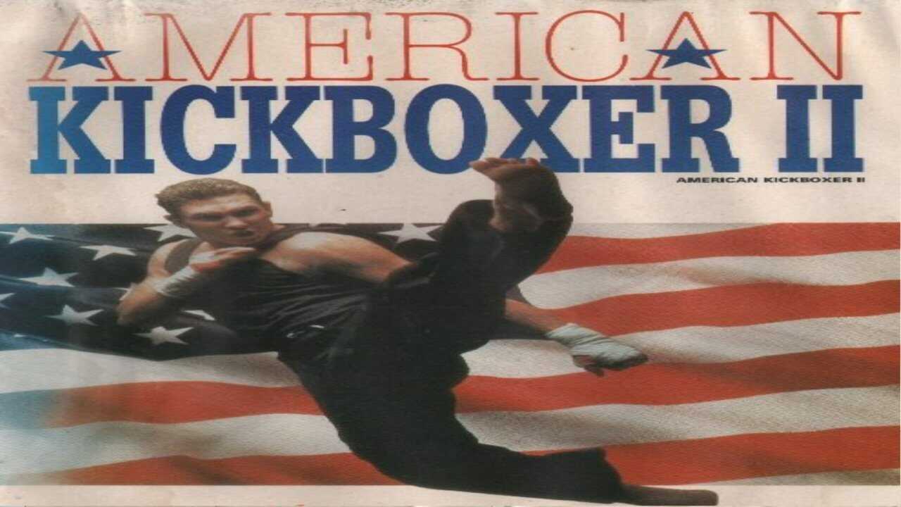 American Kickboxer 2 0