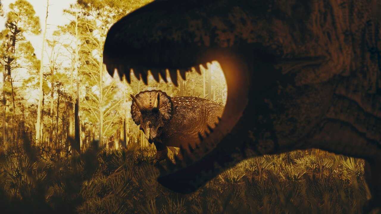 Dino Death Match 0