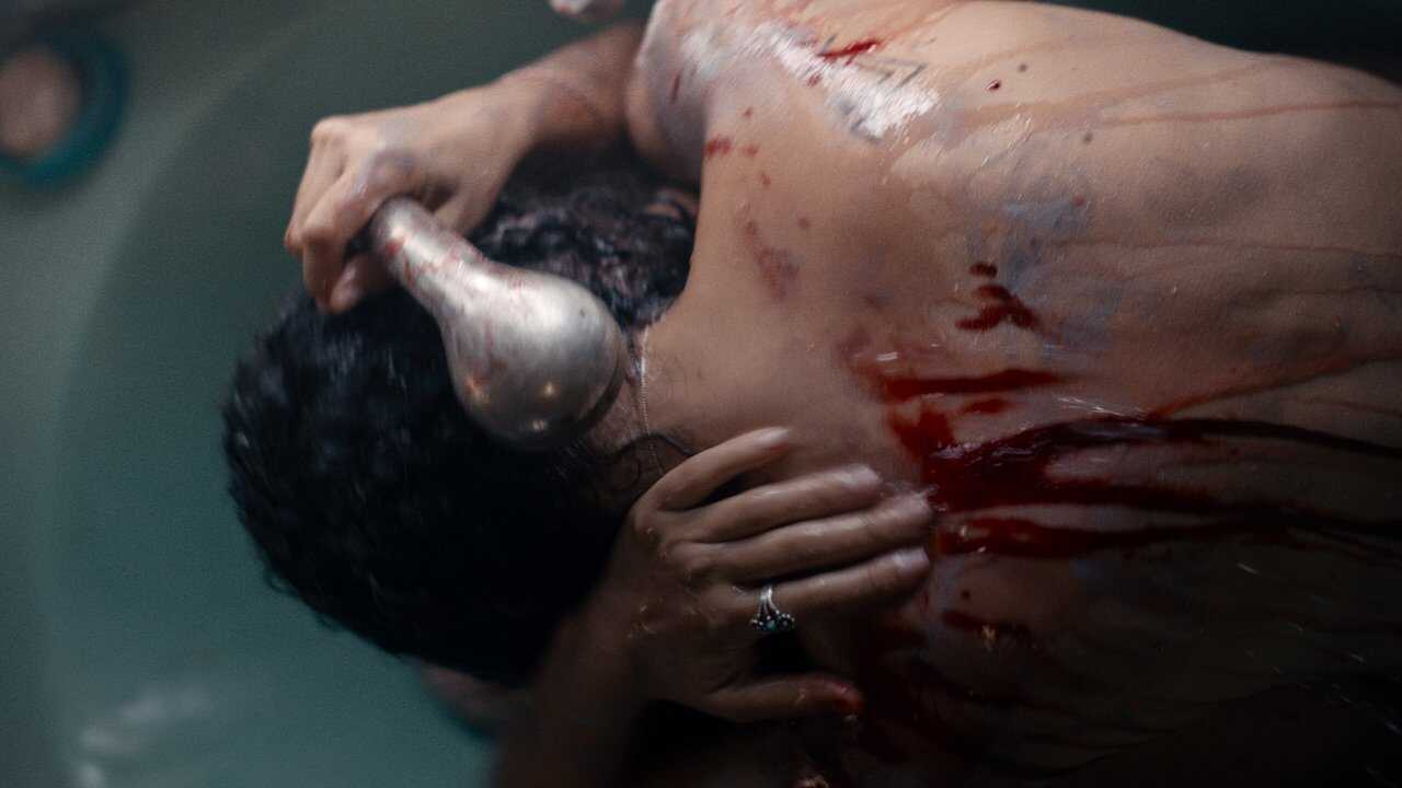 Animale 0