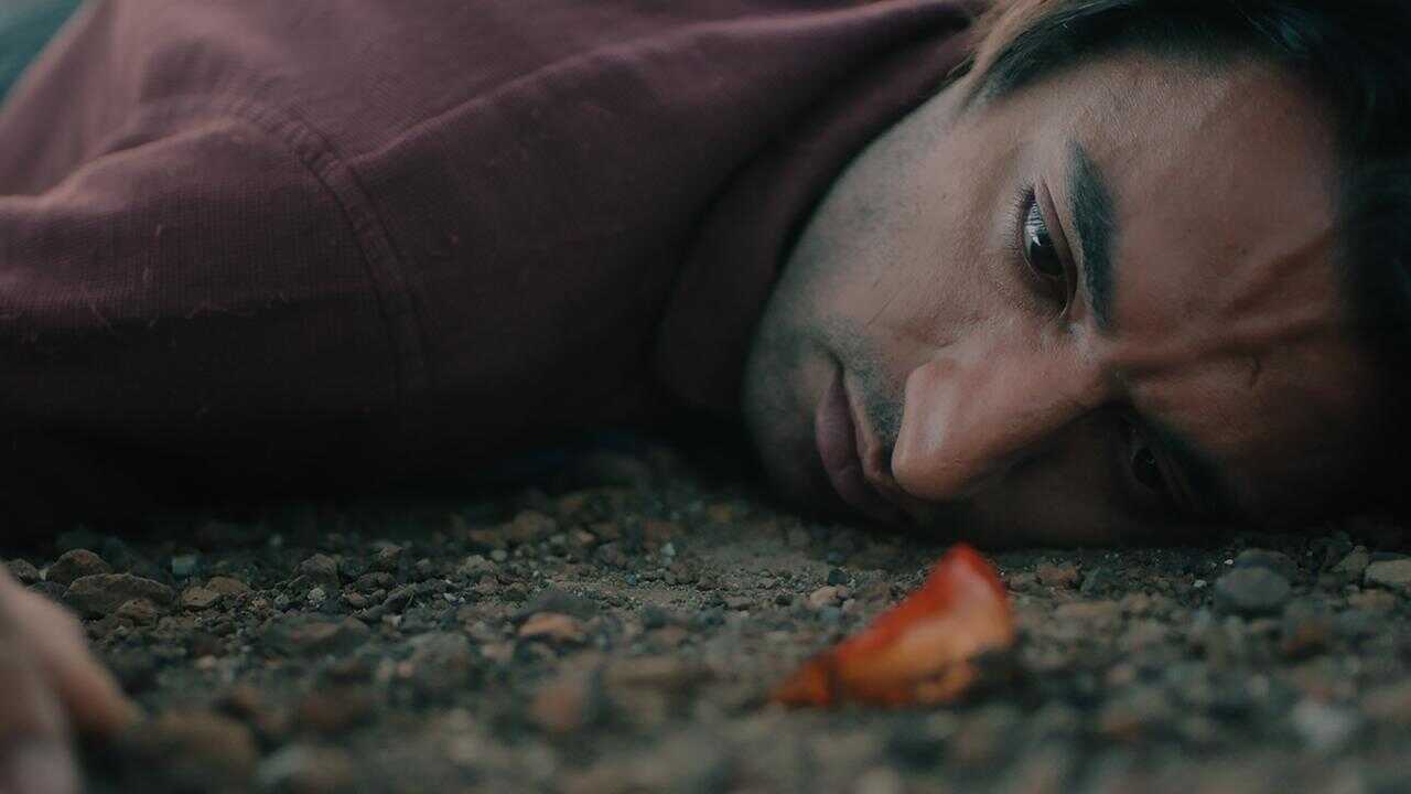 Sleep of the Crow 0