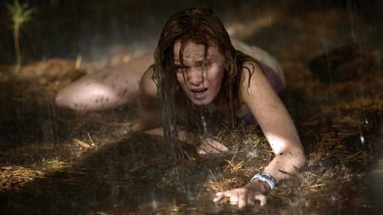 The Last House on the Left 0