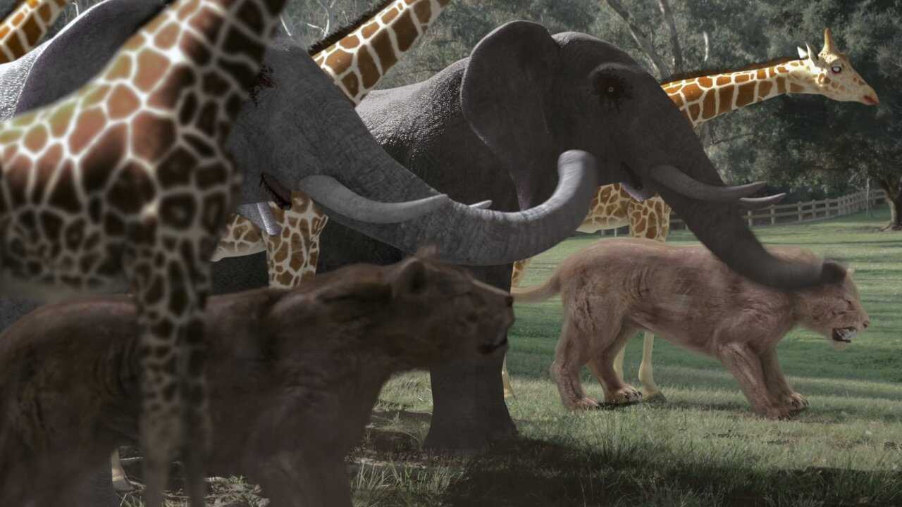 Zoombies 2 0