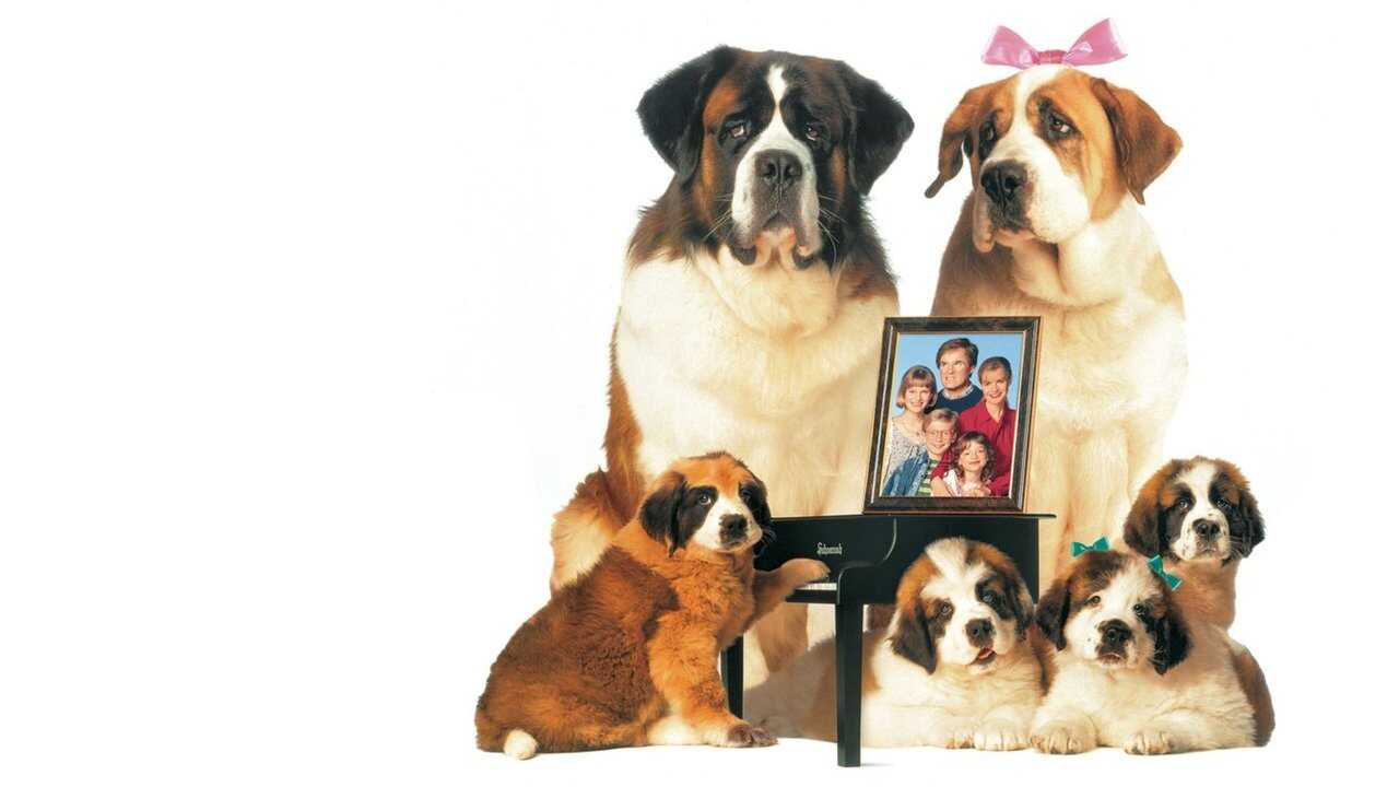 Beethoven's 2nd (1993) 0