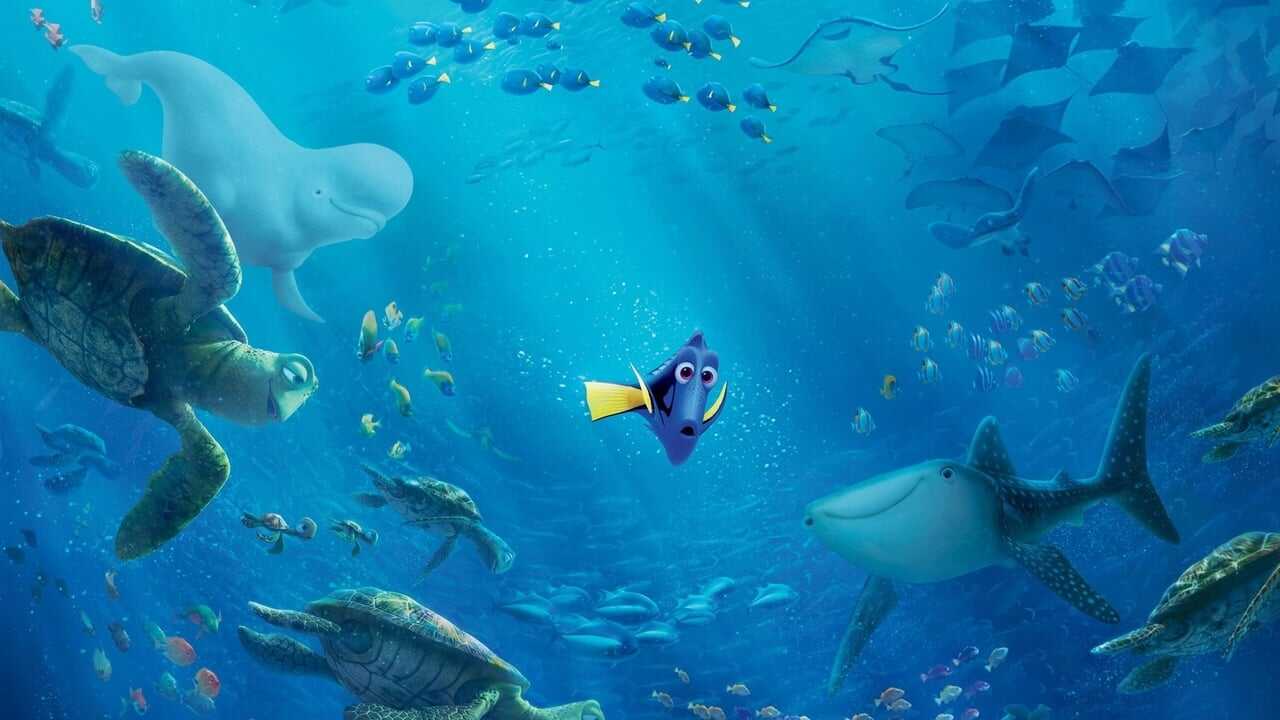 Hitta Doris (2016) 0