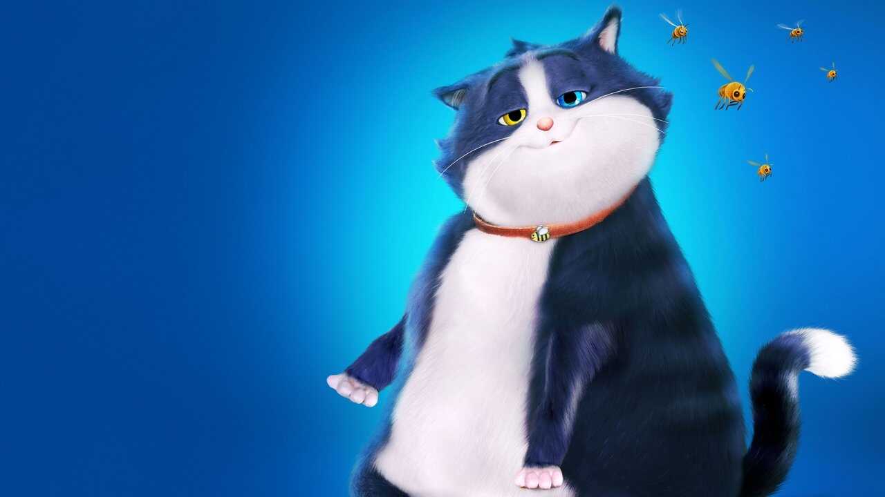 10 Lives 0