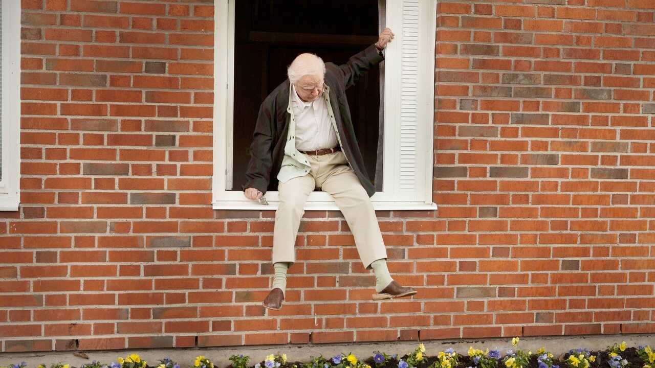 The 100 Year-Old Man Who Climbed Out the Window and Disappeared (2013) 0