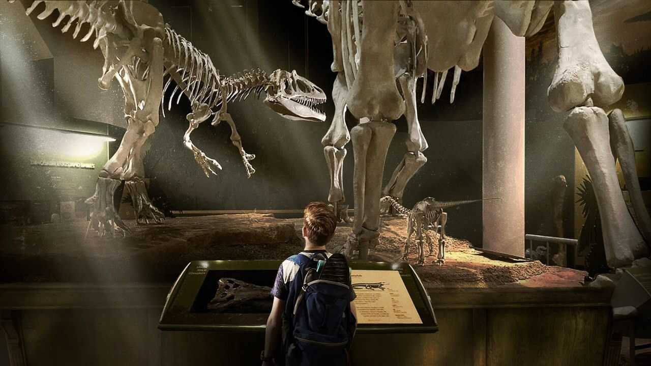 Mój przyjaciel dinozaur (2019) 0