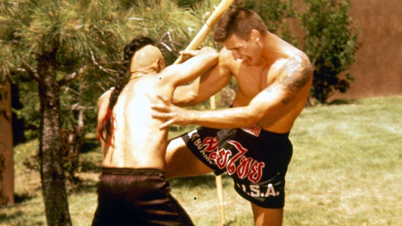 Kickboxer 4: The Aggressor 0