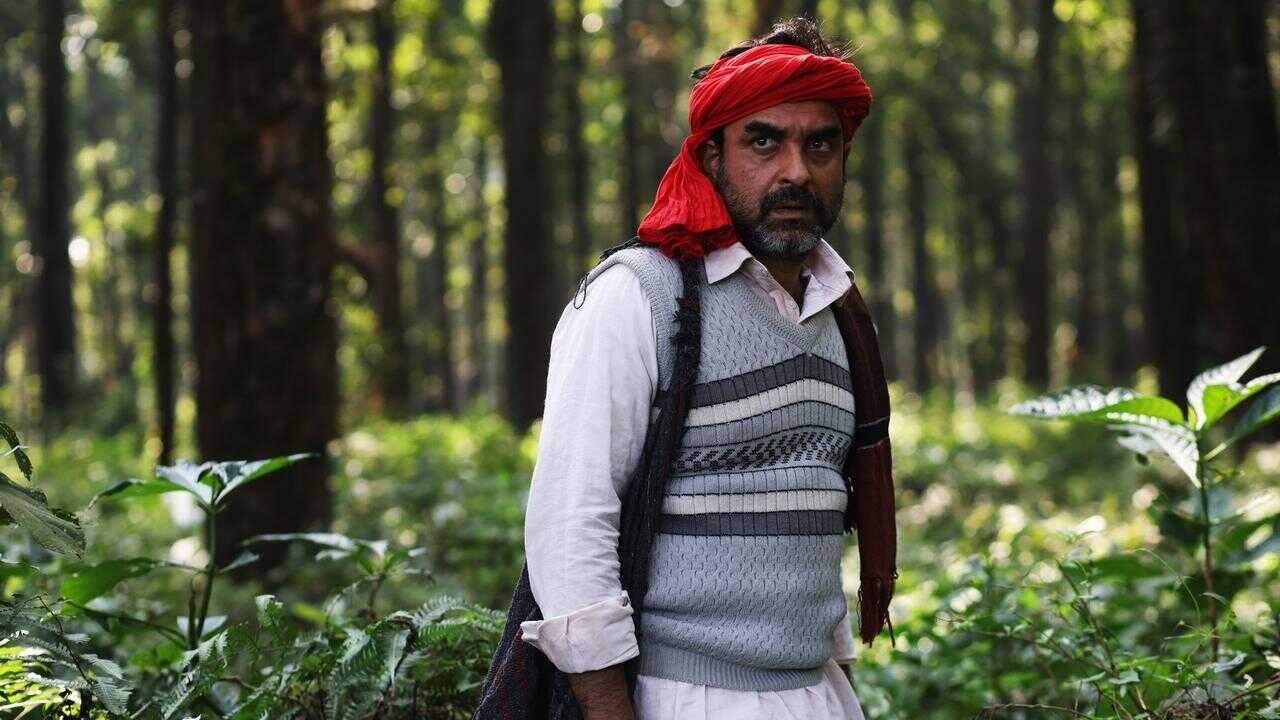 शेरदिल: द पीलीभीत सागा 0