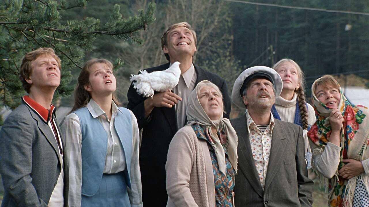 Love and Pigeons (1985) 0