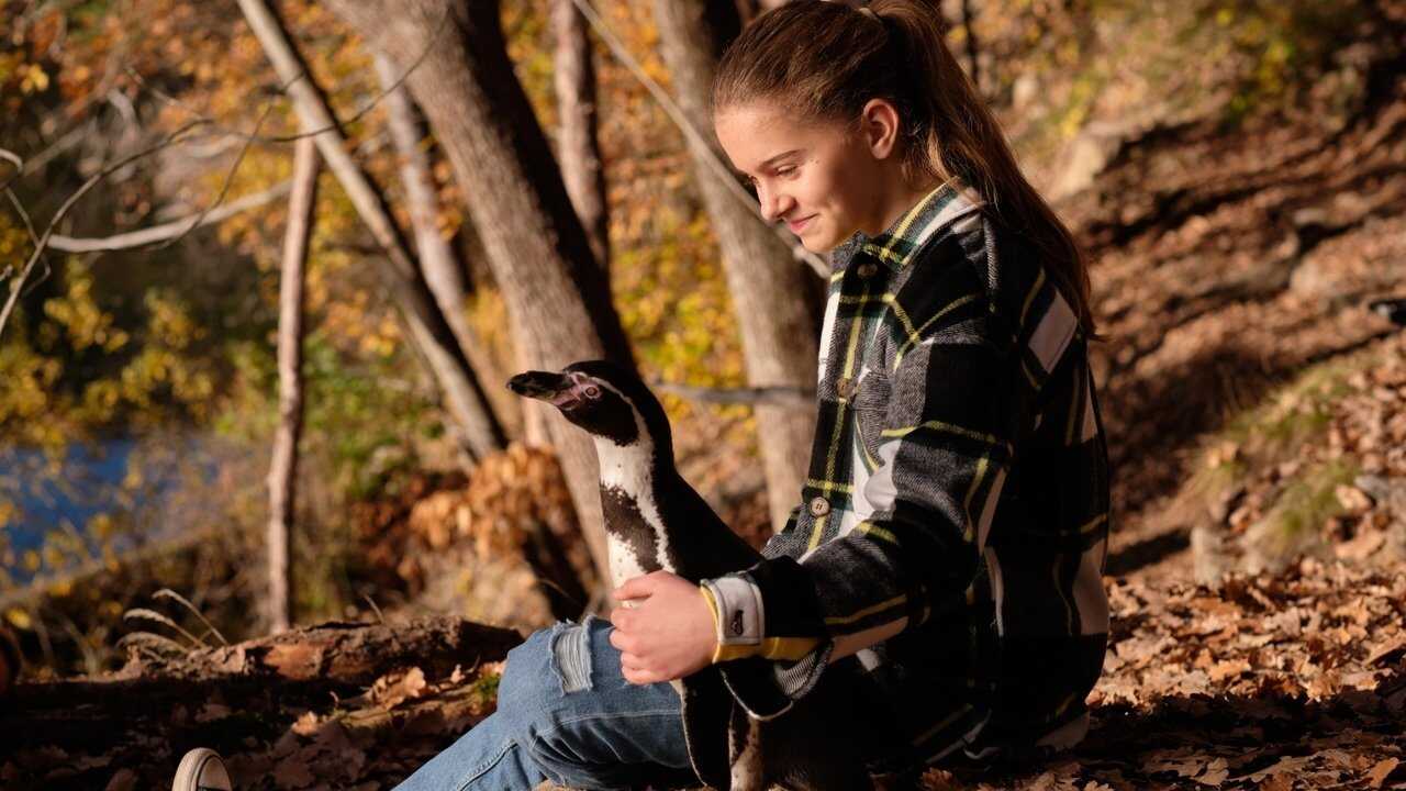 Die Chaosschwestern und Pinguin Paul (2024) 0