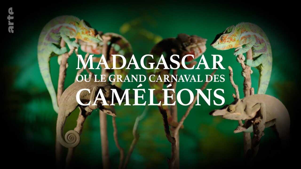 Madagascar ou le grand carnaval des caméléons (2024) 0