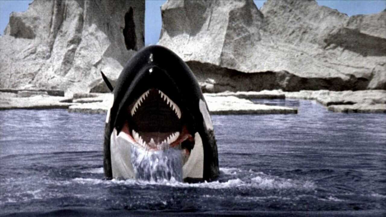 Orca - Der Killerwal (1977) 0