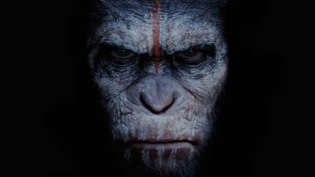 Dawn of the Planet of the Apes 0