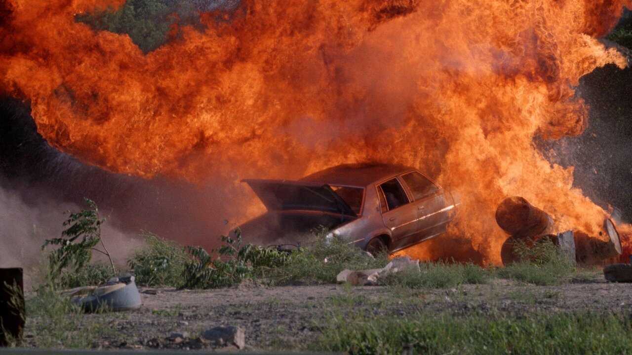 Tiger Claws (1991) 0