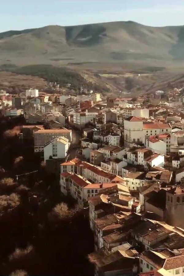 Desmadre incluido (2023) 0