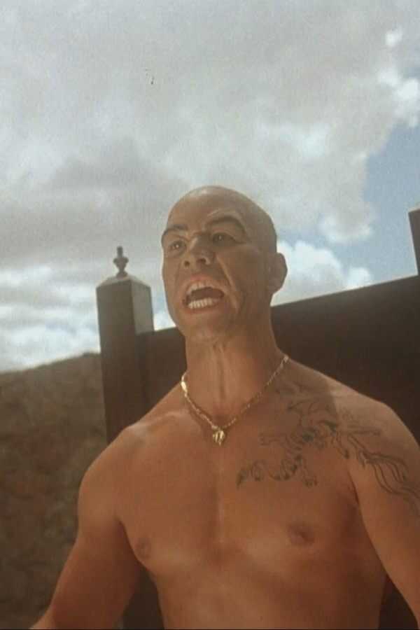 Kickboxer 4: The Aggressor (1994) 0