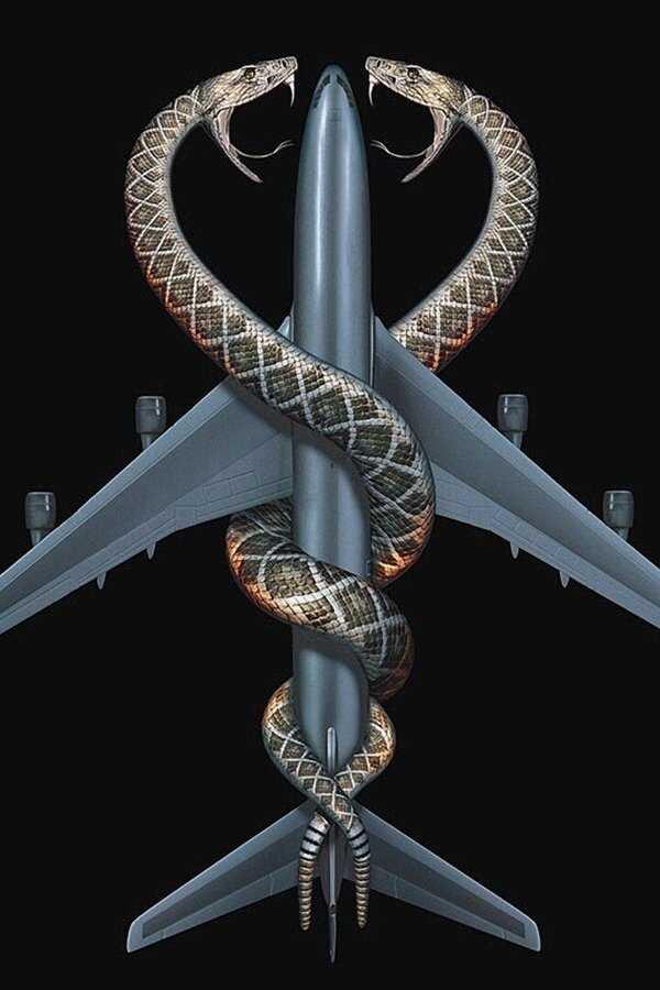 Snakes on a Plane (2006) 0
