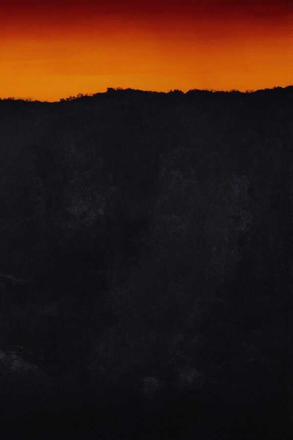 The Seeding (2024) 0