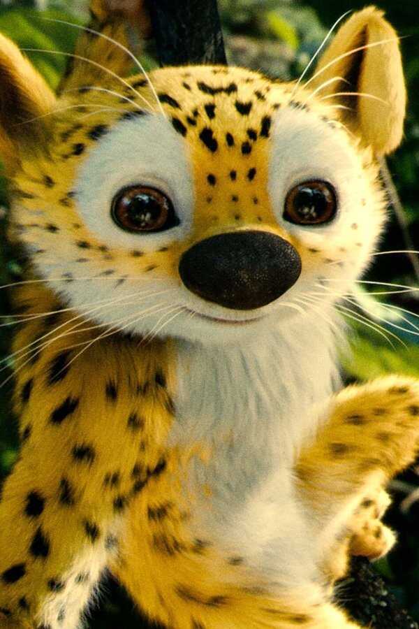 Na tropie Marsupilami (2012) 0