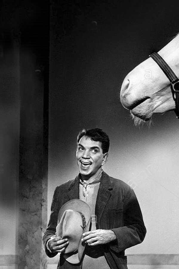 Pepe (1960) 0