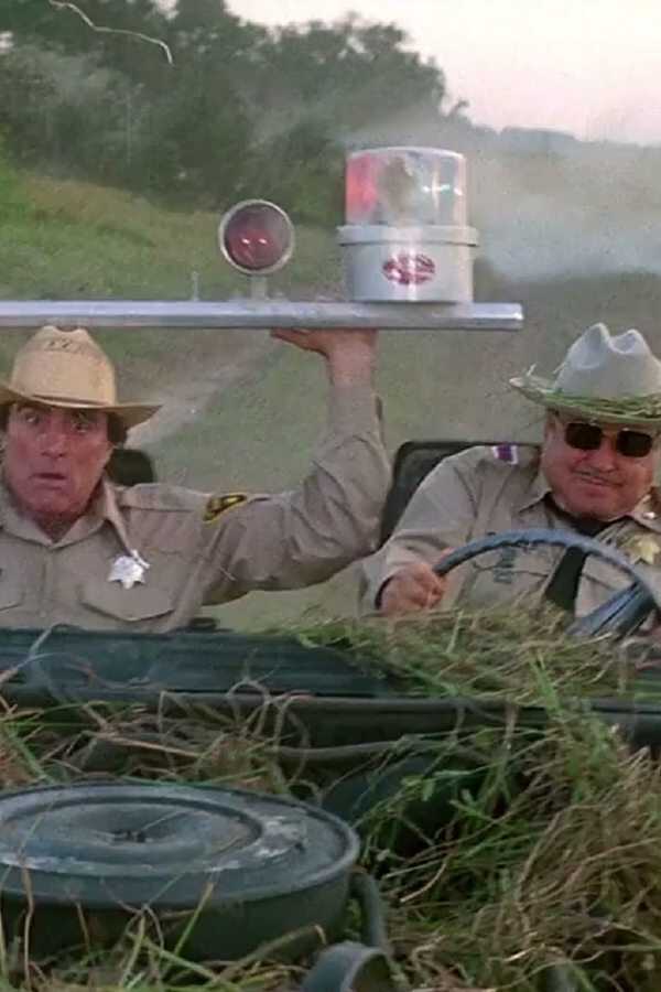 Smokey and the Bandit Part 3 (1983) 0