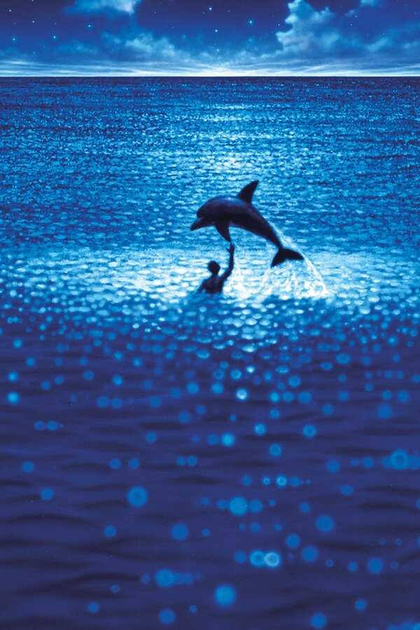 The Big Blue (1988) 0