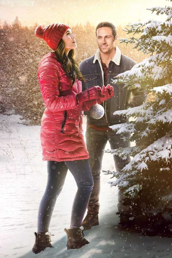 The Christmas Promise (2021) 0