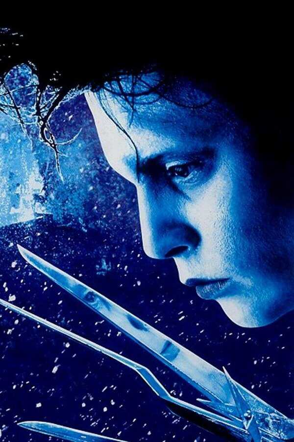 Edward aux mains d'argent (1990) 0