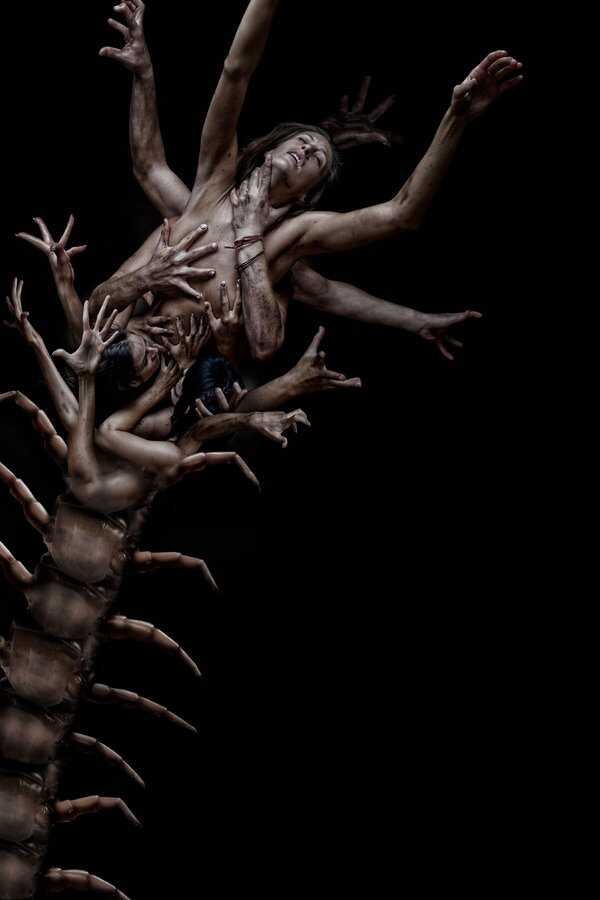 The Human Centipede 2 (Full Sequence) (2011) 0