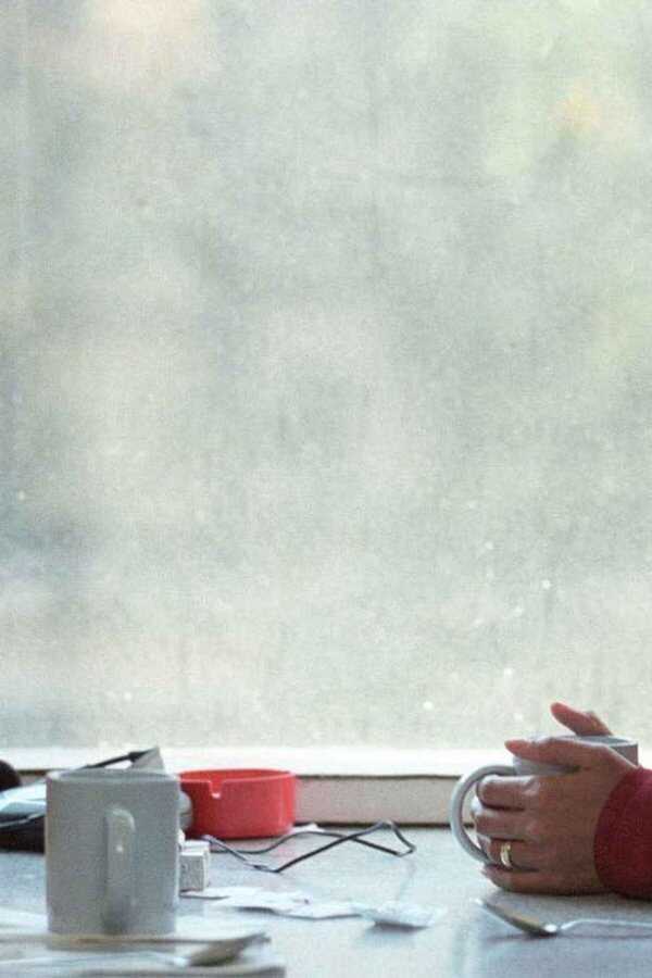 Cosas que perdimos en el fuego (2007) 0