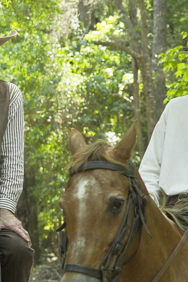 Cheat the Hangman (2018) 0