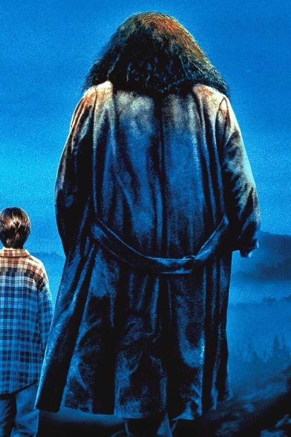 Harry Potter à l'école des sorciers (2001) 0