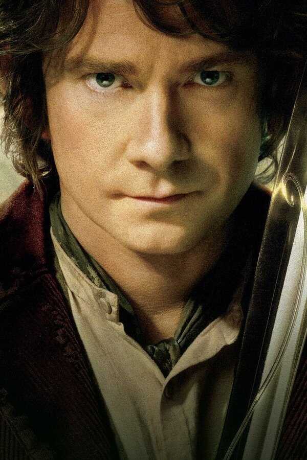 Le Hobbit : Un voyage inattendu (2012) 0