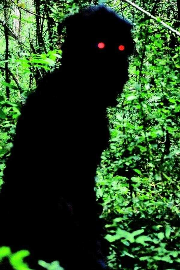 Oncle Boonmee (celui qui se souvient de ses vies antérieures) (2010) 0