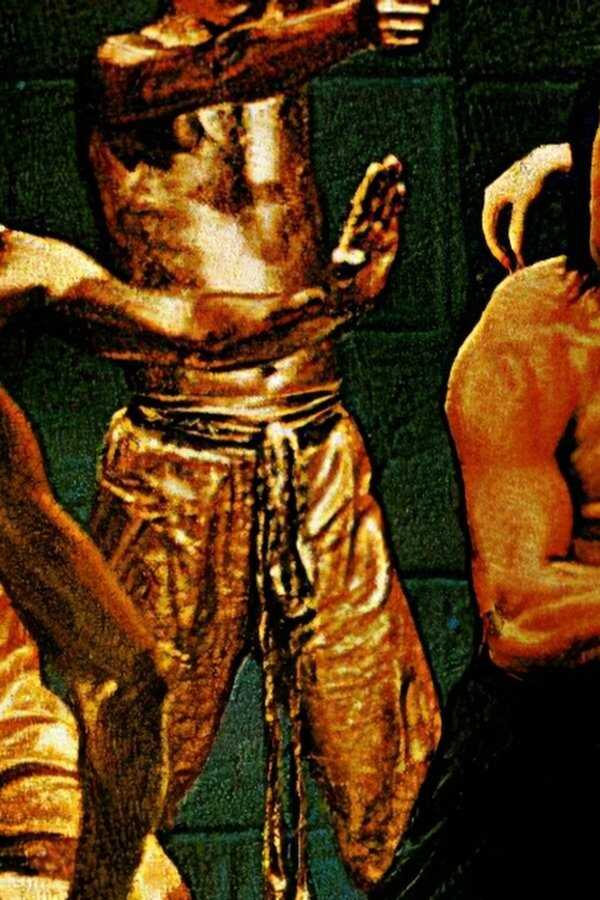 Das Erbe der 18 Bronzekämpfer (1976) 0